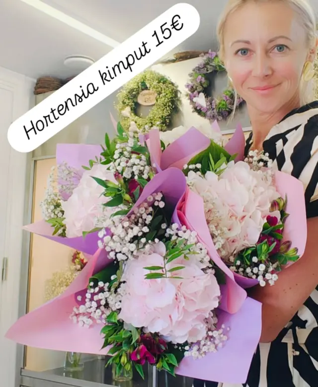 Hortensia kimput 15€