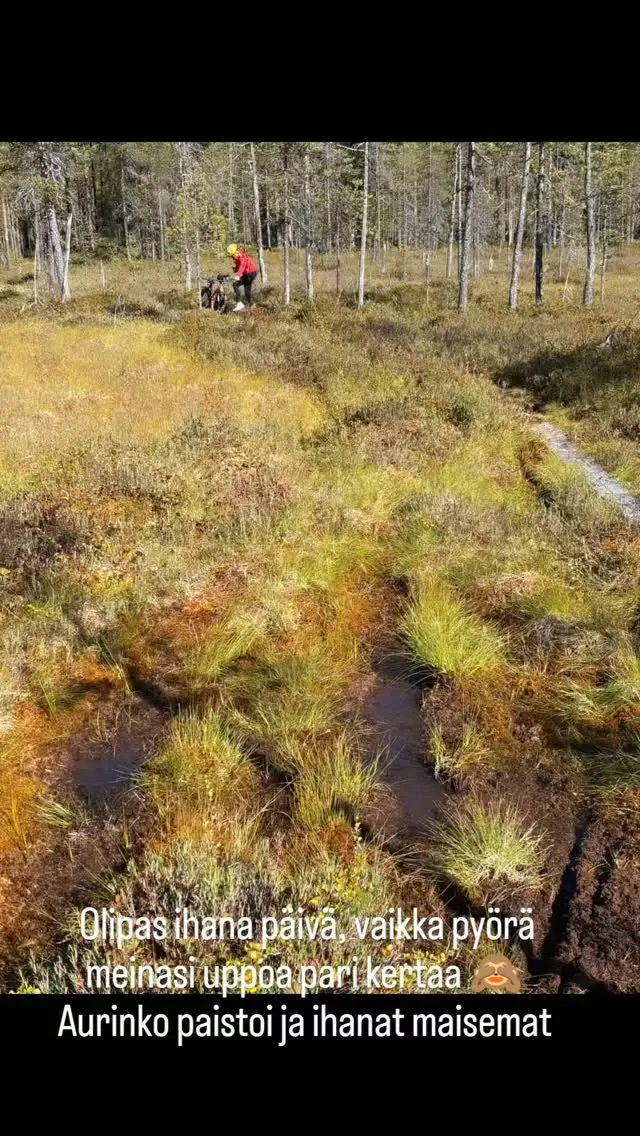 Huomenna vielä täällä, niin perjantai päivä mene kokonaan palumatkaan. Nautitaan vielä😊